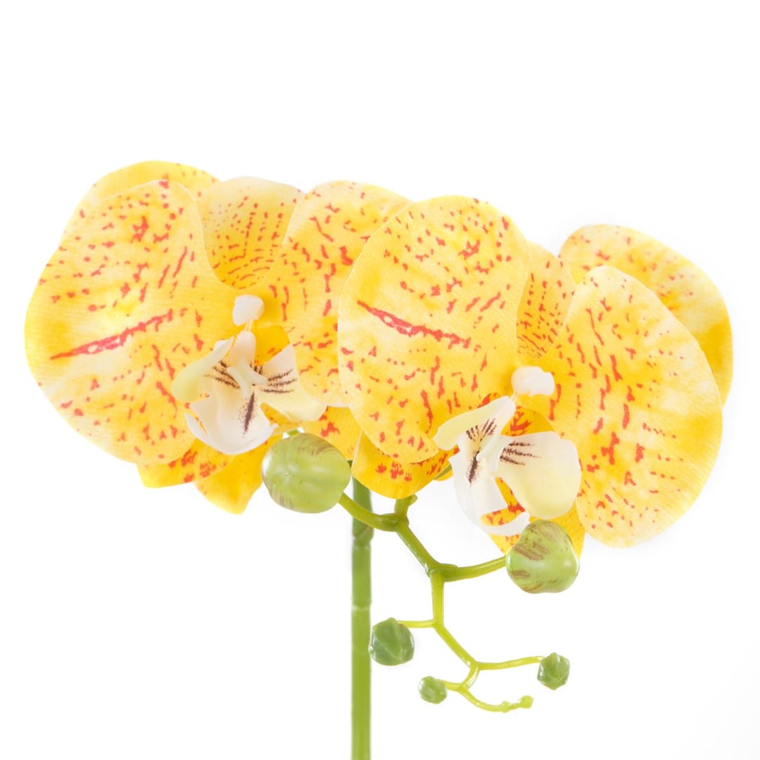 Floare artificiala in ghiveci, Orchi Galben / Verde, H60 cm (1)