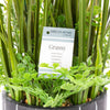 Planta artificiala in ghiveci, Grassy Verde / Antracit, H47 cm (1)
