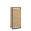 Cabinet din pal cu 1 usa Quant 07 Stejar Artisan / Negru, l60xA41xH140 cm
