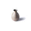Sticla pentru sake, din ceramica, Earth Maro, 250 ml