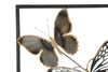 Decoratiune metalica de perete Butterflies Multicolor, l31xA2,5xH90 cm (5)