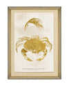 Tablou Framed Art Caribbean Sea Life - Arthropoda Crustacea, 50 x 70 cm
