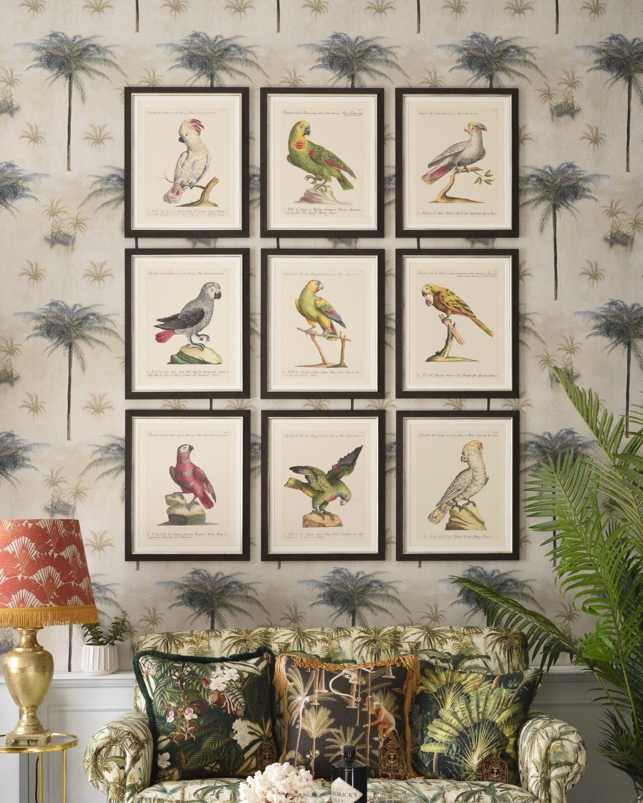 Tablou Framed Art Parrots Of Brasil X, 40 x 50 cm (1)