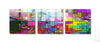 Tablou Sticla 3 piese, Bruce 1404 Multicolor, 60 x 60 cm (1)
