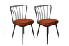 Set 2 scaune tapitate cu stofa si picioare metalice, Yıldız-945 V2 Velvet Caramiziu / Negru, l43xA42xH82 cm