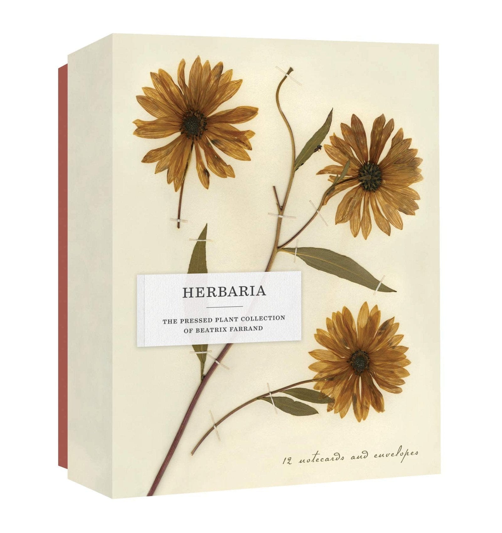 Agenda Herbaria: The Pressed Plant Collection of Beatrix Farrand Notecards, in Limba Engleza