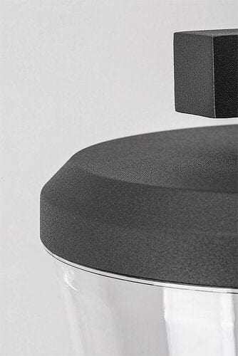 RabaLux Aplica exterior Savano 7266 Antracit / Transparent