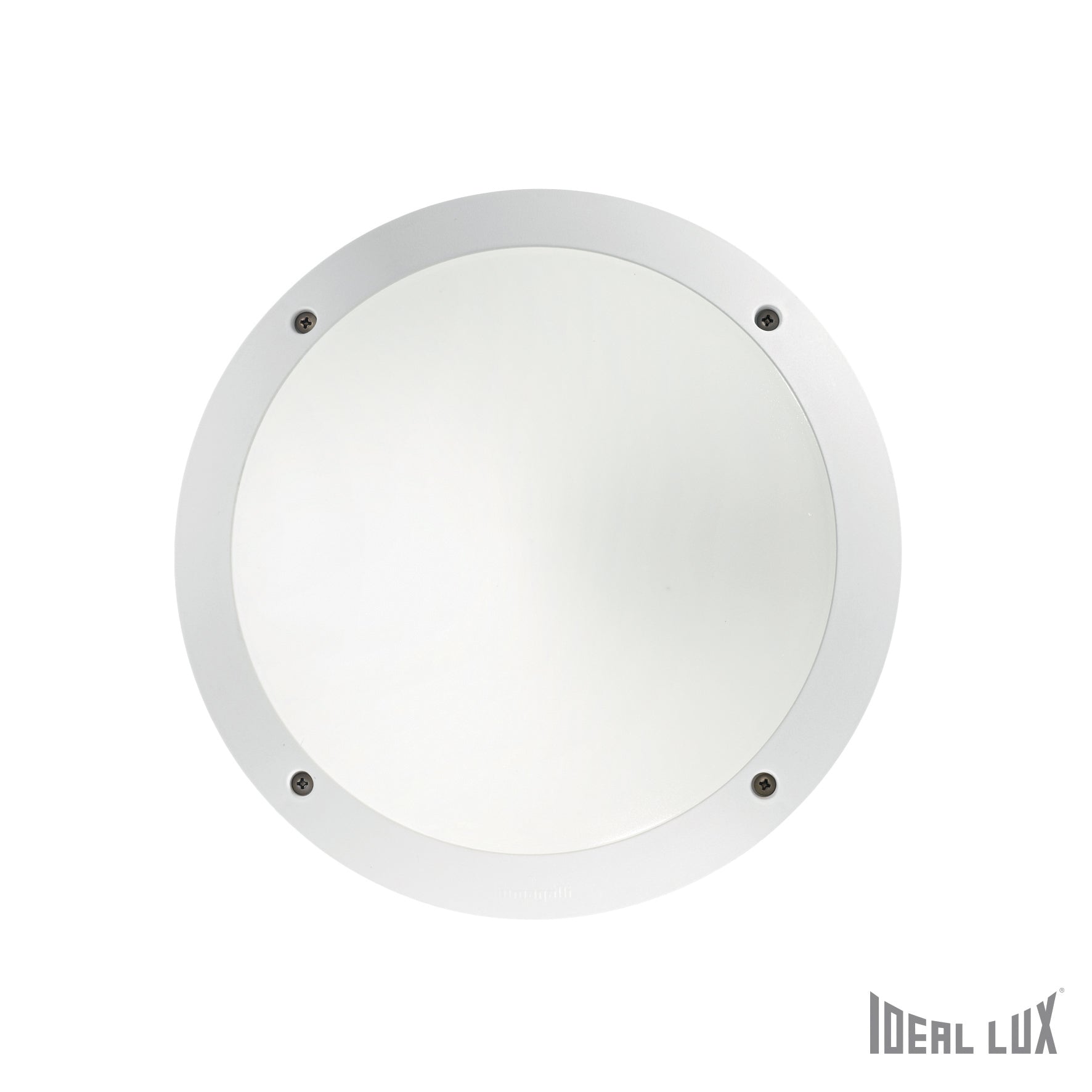 IdealLux Alb Aplica Lucia-1 AP1