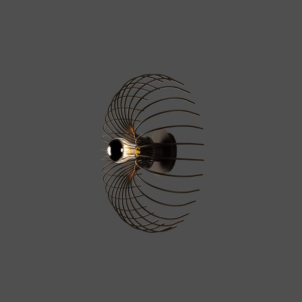 Aplica Opilio Negru (1)