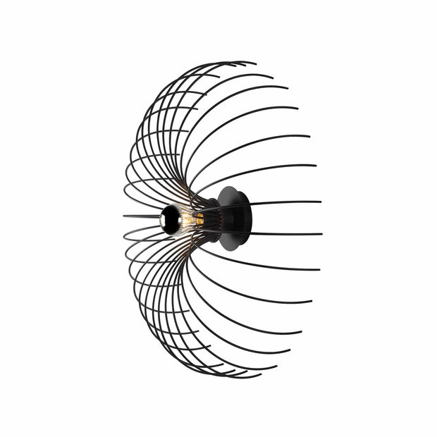 Aplica Opilio Negru (1)