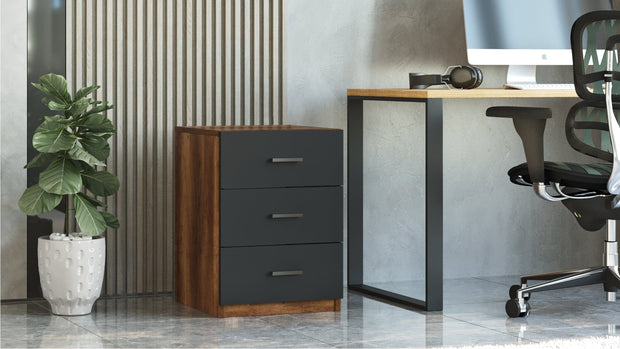 Cabinet din pal, cu 3 sertare Vario C Stejar Baroc / Antracit, l44,5xA46,6xH61,8 cm (4)