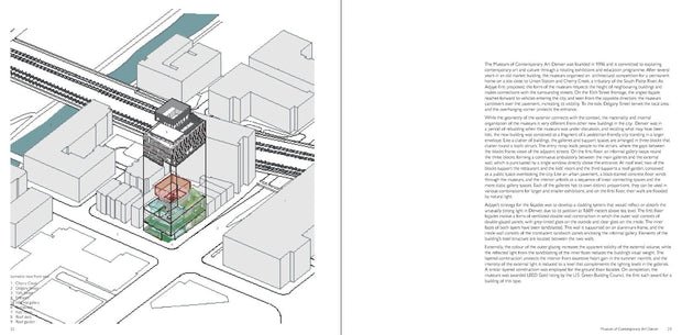 Carte Adjaye, Peter Allison, Editie in Limba Engleza (4)