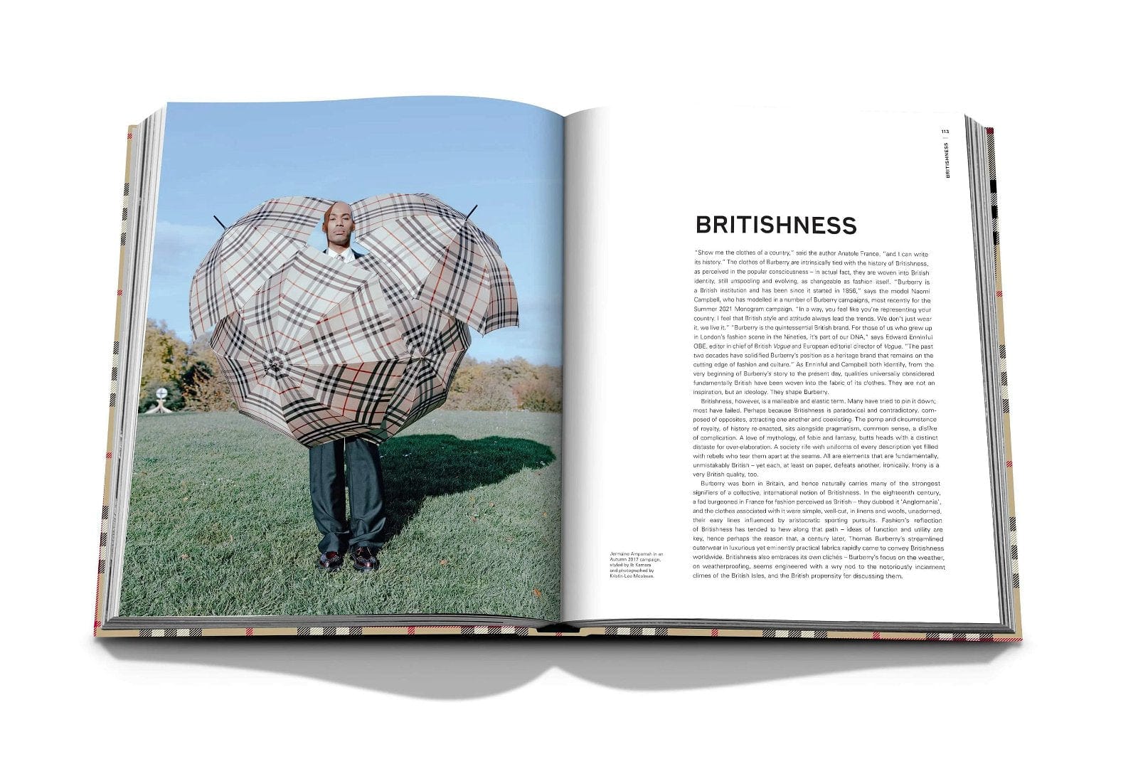 Carte Burberry, Alexander Fury, Editie in Limba Engleza (5)