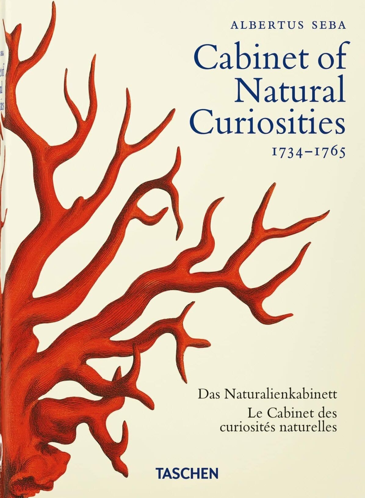 Carte Cabinet of Natural Curiosities. 40 series, Irmgard Müsch, Jes Rust & Rainer Willmann, Editie in Limba Engleza