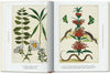 Carte Cabinet of Natural Curiosities. 40 series, Irmgard Müsch, Jes Rust & Rainer Willmann, Editie in Limba Engleza (1)