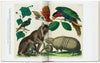 Carte Cabinet of Natural Curiosities. 40 series, Irmgard Müsch, Jes Rust & Rainer Willmann, Editie in Limba Engleza (2)
