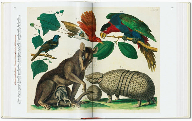 Carte Cabinet of Natural Curiosities. 40 series, Irmgard Müsch, Jes Rust & Rainer Willmann, Editie in Limba Engleza (2)
