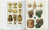 Carte Cabinet of Natural Curiosities. 40 series, Irmgard Müsch, Jes Rust & Rainer Willmann, Editie in Limba Engleza (3)