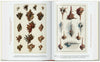 Carte Cabinet of Natural Curiosities. 40 series, Irmgard Müsch, Jes Rust & Rainer Willmann, Editie in Limba Engleza (4)