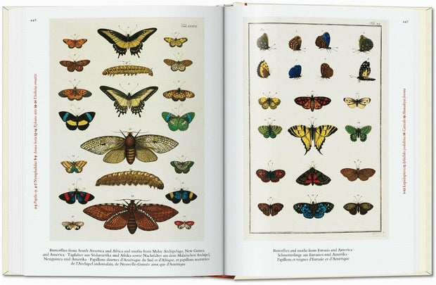 Carte Cabinet of Natural Curiosities. 40 series, Irmgard Müsch, Jes Rust & Rainer Willmann, Editie in Limba Engleza (5)