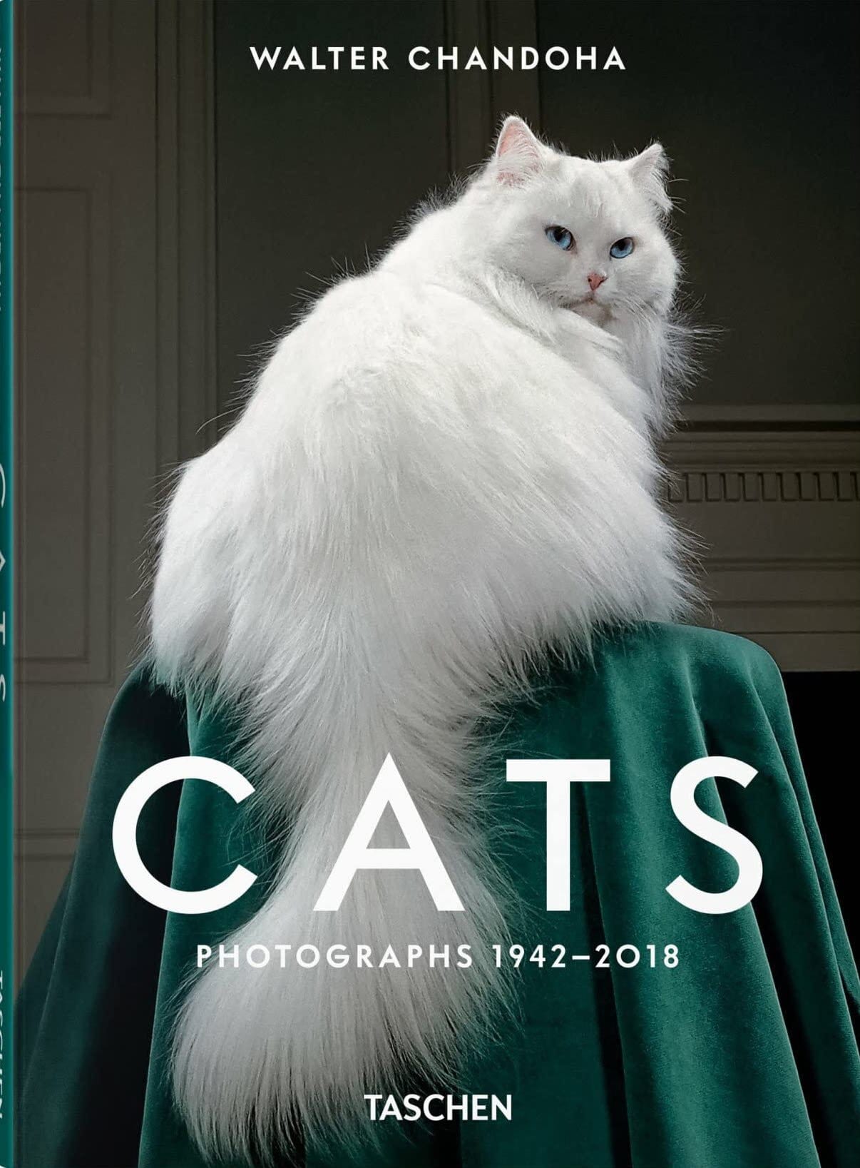 Carte Cats. Walter Chandoha. Photographs 1942–2018 - Small, Susan Michals, Editie in Limba Engleza