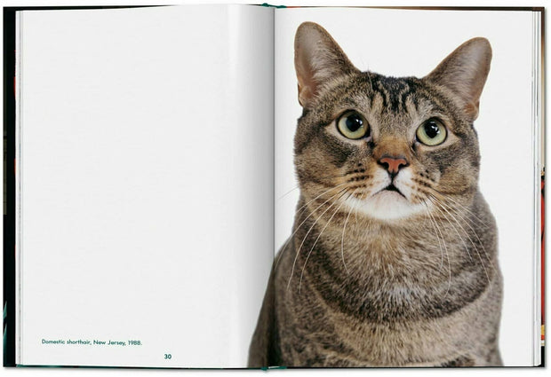 Carte Cats. Walter Chandoha. Photographs 1942–2018 - Small, Susan Michals, Editie in Limba Engleza (3)
