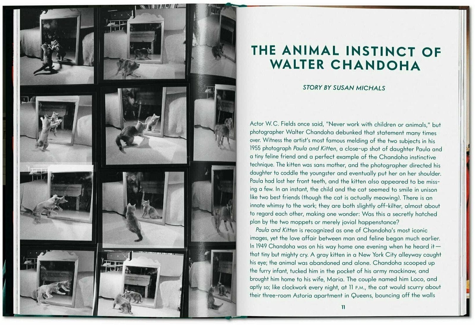 Carte Cats. Walter Chandoha. Photographs 1942–2018 - Small, Susan Michals, Editie in Limba Engleza (4)