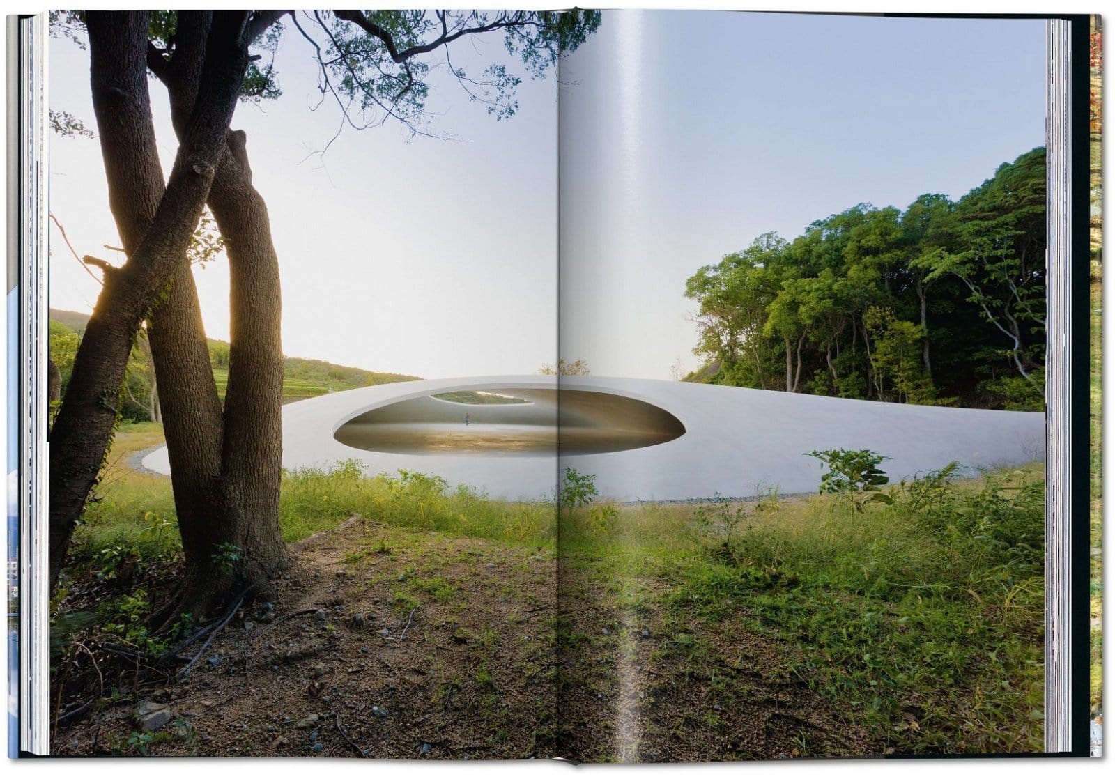 Carte Contemporary Japanese Architecture, Philip Jodidio, Editie in Limba Engleza (4)