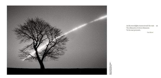 Carte Forms of Japan, Michael Kenna, Editie in Limba Engleza (3)
