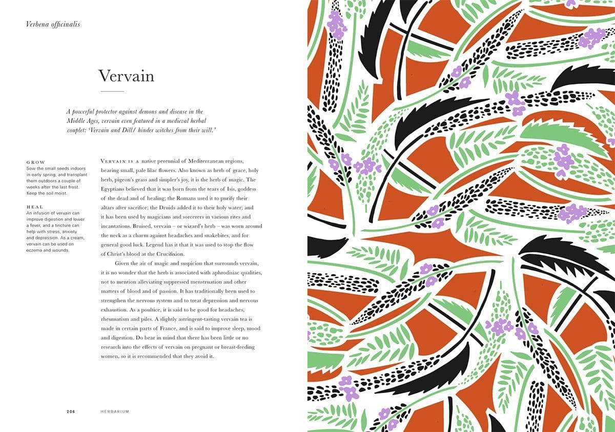 Carte Herbarium, Caz Hildebrand, Editie in Limba Engleza (2)