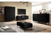 Comoda TV din pal, MDF si metal, cu 1 sertar si 2 usi, Nicole Tall RTV 150-2D1SZ Negru, l150xA45xH60 cm (5)