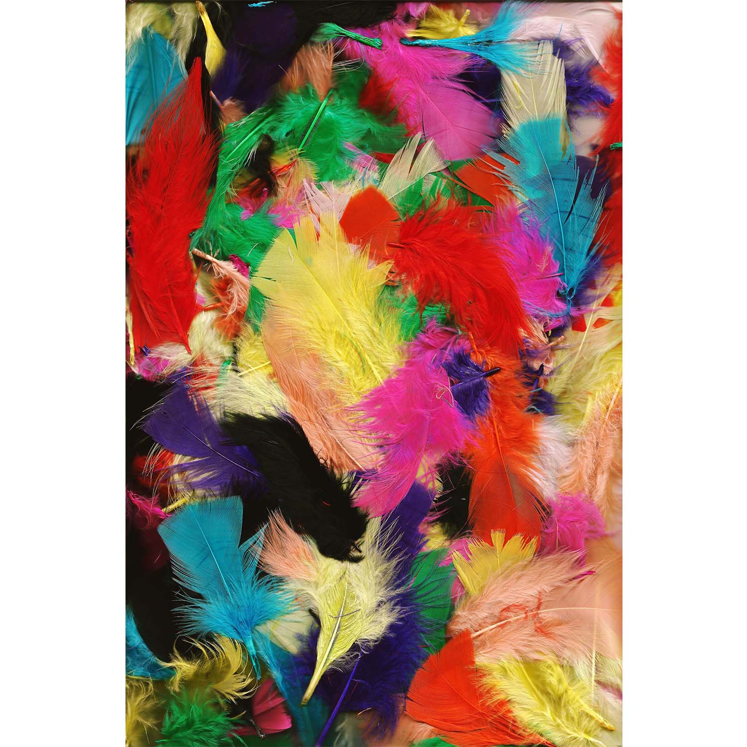 Covor din poliester, Bunnie 8 Multicolor (1)