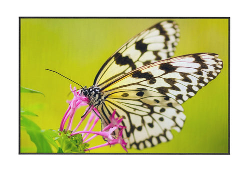 Covor din poliester, Feal 030 Multicolor