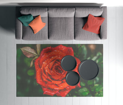 Covor din poliester, Rugero 0028M Multicolor