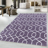 Ayyildiz Teppiche Covor din PP Efor 3713 Geometric Violet