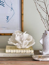 Decoratiune din polirasina, Rosenia Alb, L21xl12xH14 cm (2)