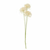 Fir floare artificiala, Allium Alb, H63,5 cm