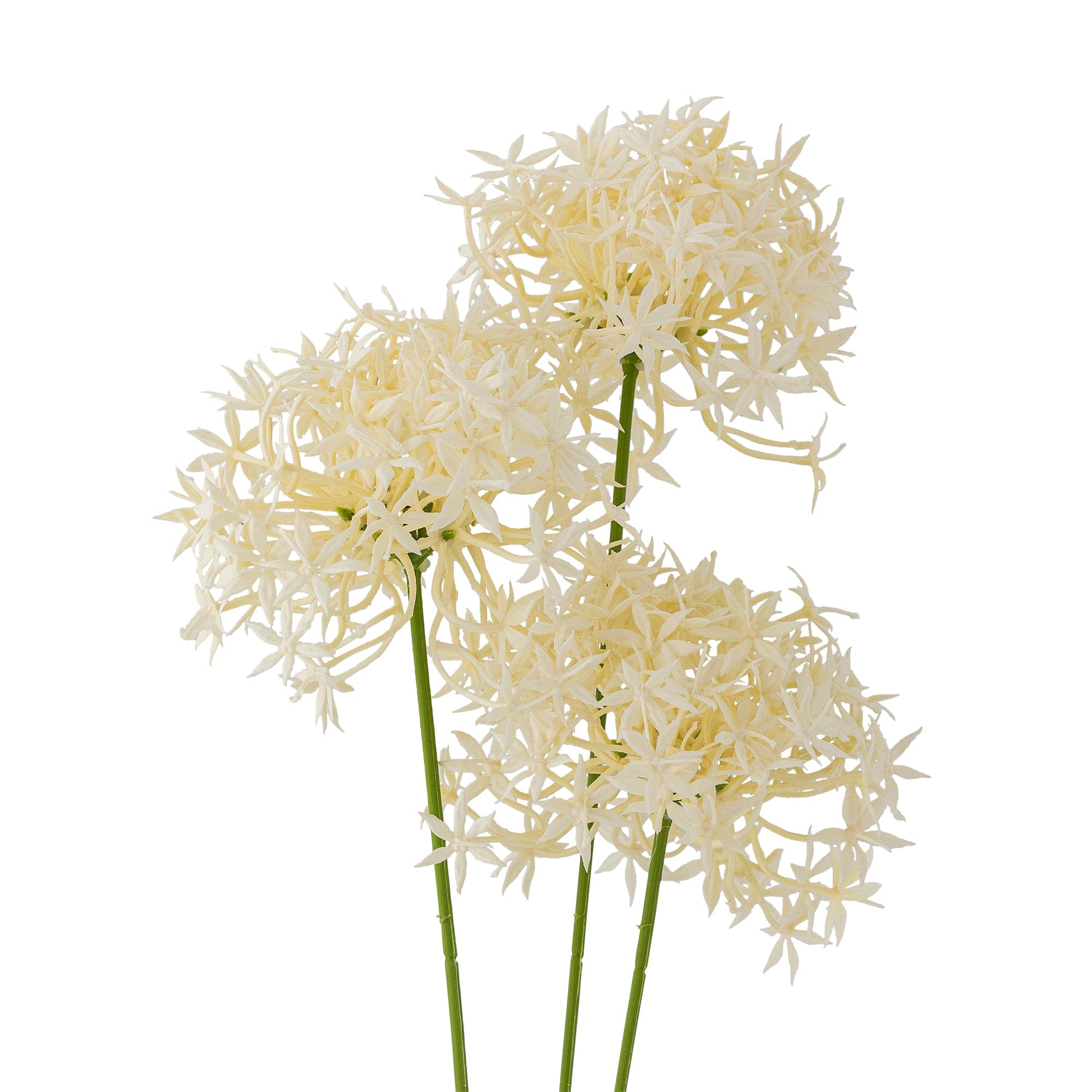 Fir floare artificiala, Allium Alb, H63,5 cm (1)