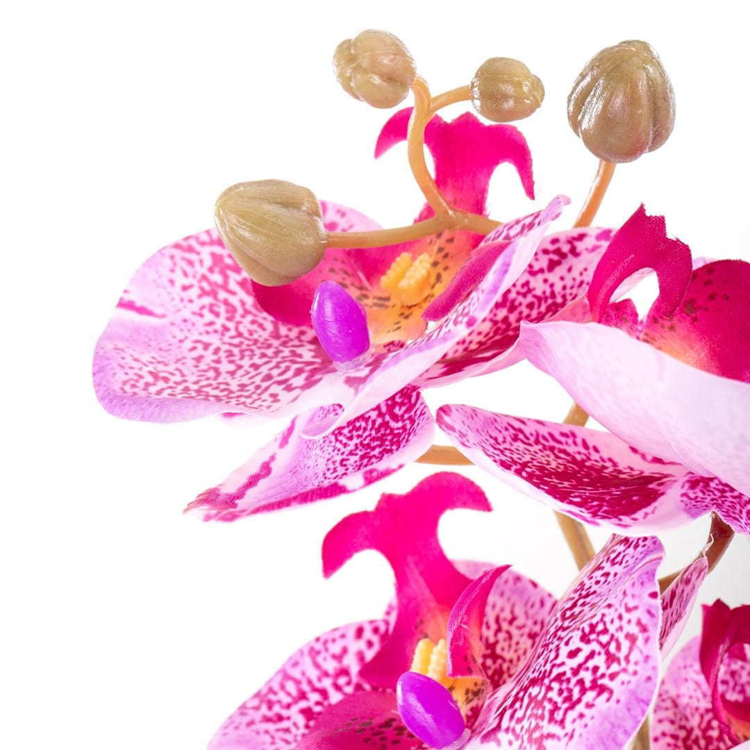 Decoking Fir floare artificiala, Faleni Fucsia / Verde, H76 cm