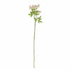 Fir floare artificiala, Fennel Roz, H66 cm