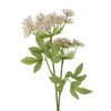 Fir floare artificiala, Fennel Roz, H66 cm (1)