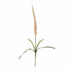 Fir floare artificiala, Foxtail Roz, H73 cm