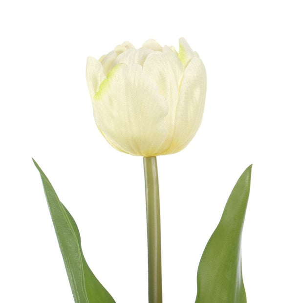 Decoking Fir floare artificiala, Tulipi Crem / Verde, H50 cm
