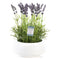 Decoking Floare artificiala in ghiveci, Lavendi Mov / Verde, H32 cm