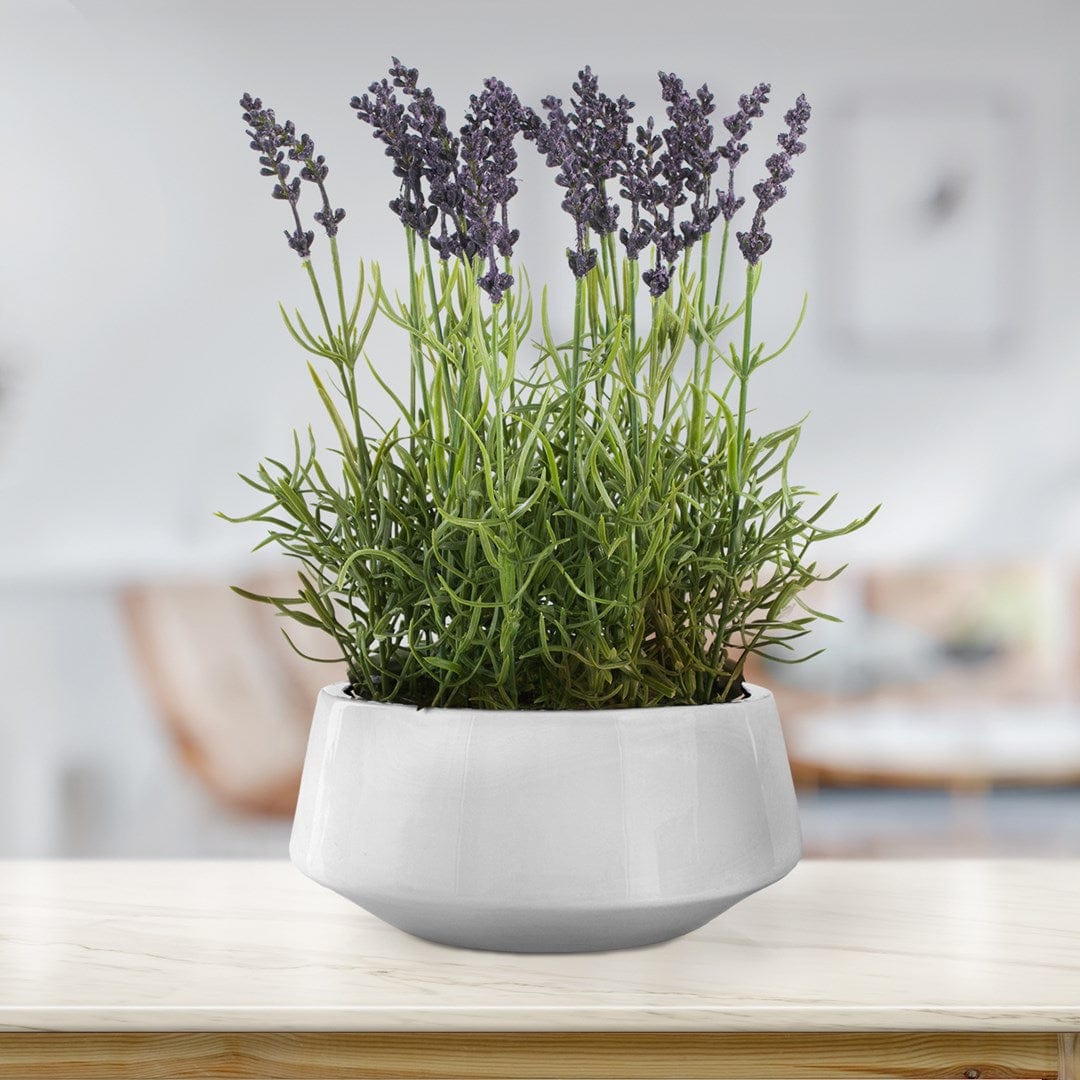 Decoking Floare artificiala in ghiveci, Lavendi Mov / Verde, H32 cm