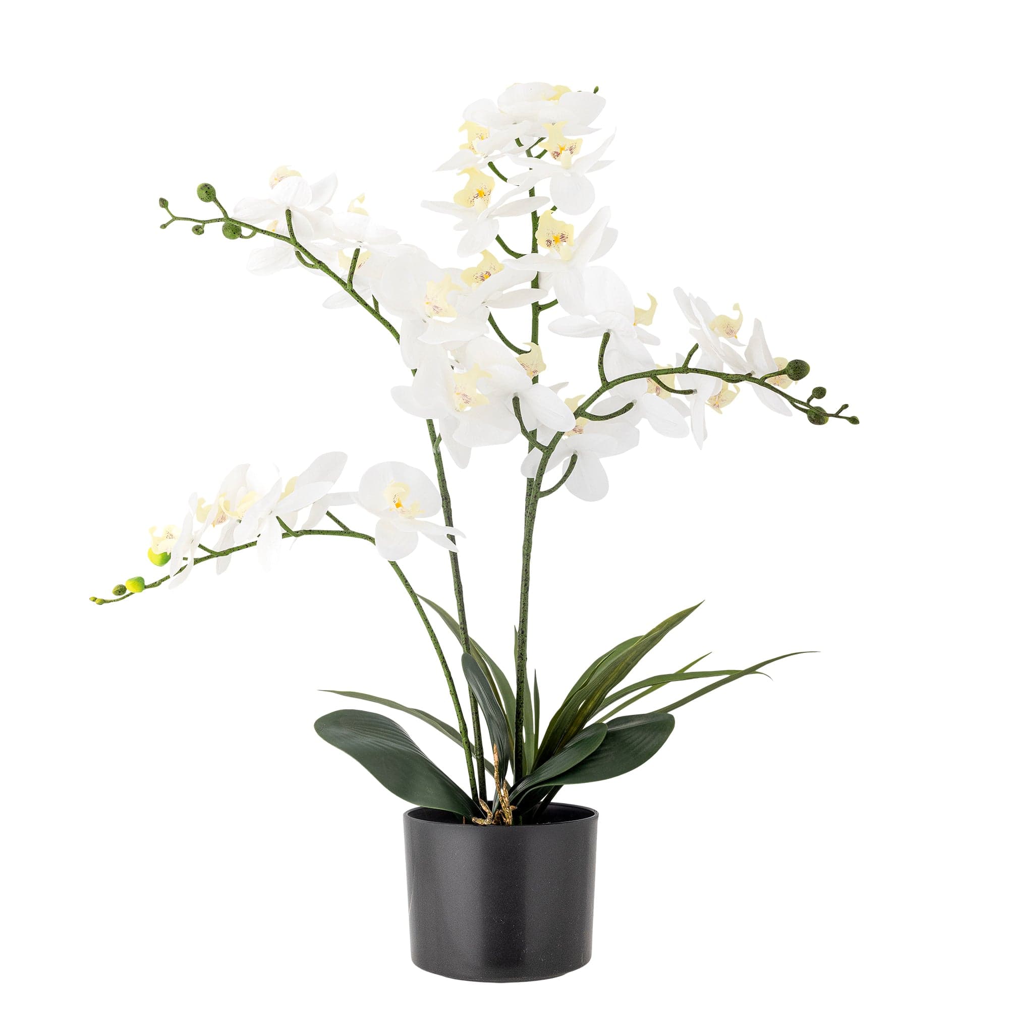 Floare artificiala in ghiveci, Orchid Verde, H84 cm