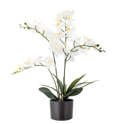 Floare artificiala in ghiveci, Orchid Verde, H84 cm