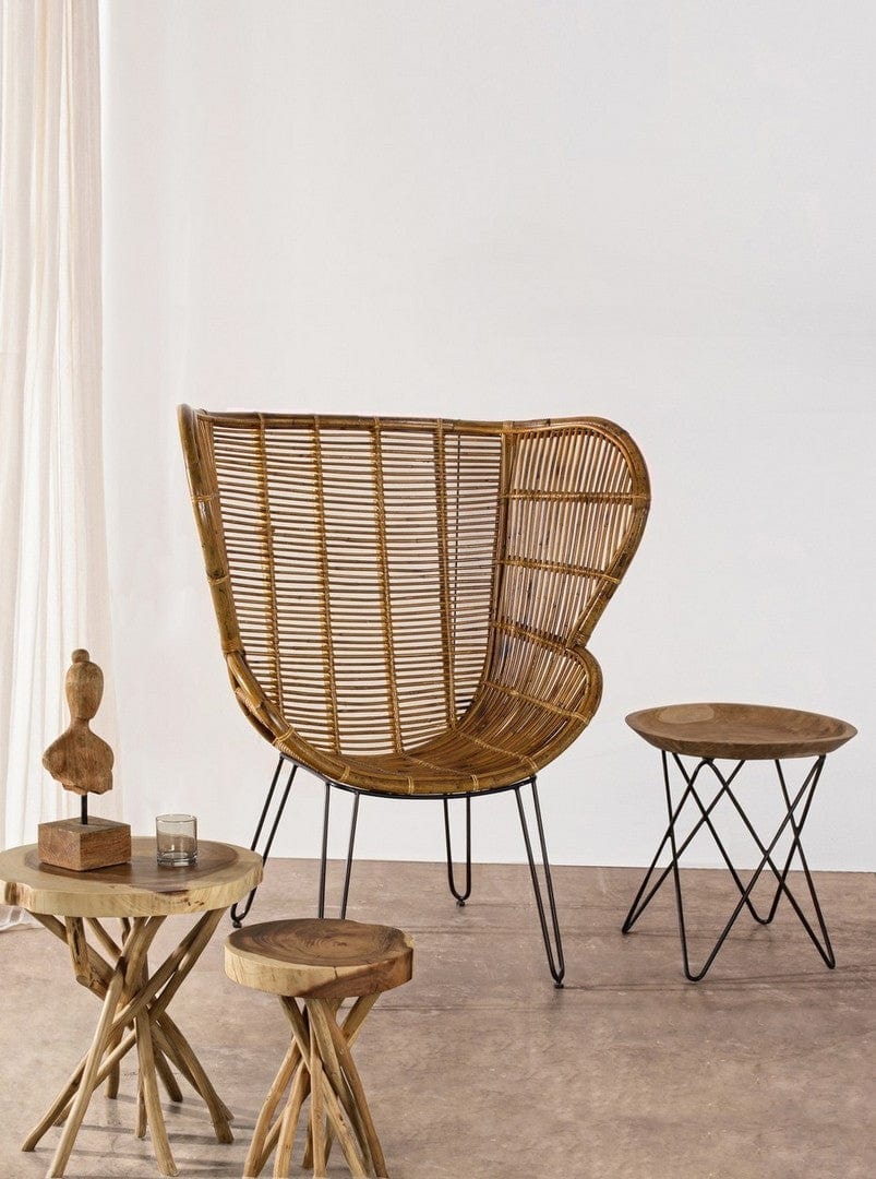 Fotoliu Fix din ratan, Estefan Natural / Negru, l100xA75xH118 cm (8)