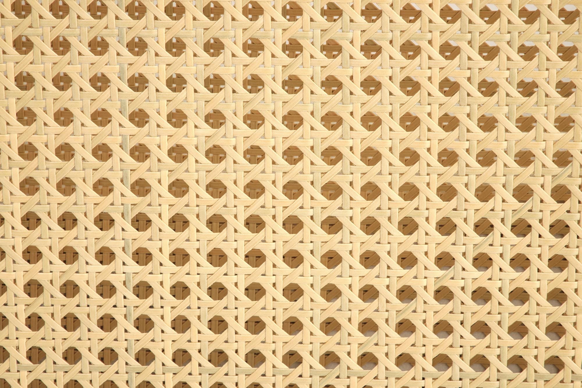 Fotoliu fix tapitat cu stofa, Ilario Velvet Natural / Bej / Negru, l64xA67xH77 cm (4)