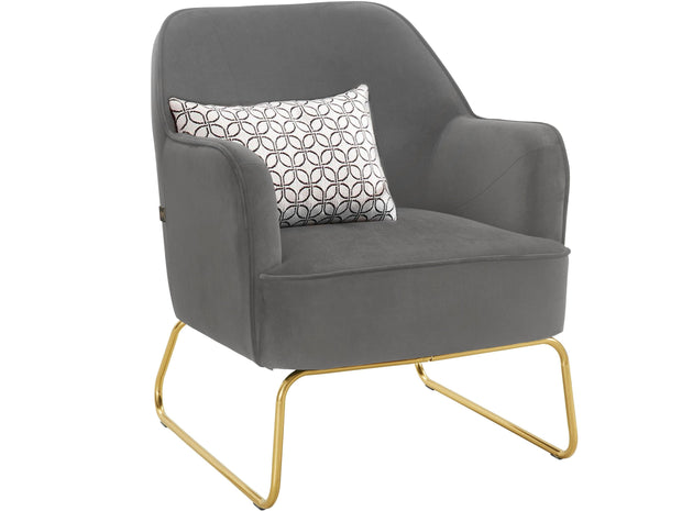 Dorel Home Fotoliu fix tapitat cu stofa, Joshua Velvet Gri / Auriu, l65xA78xH80 cm